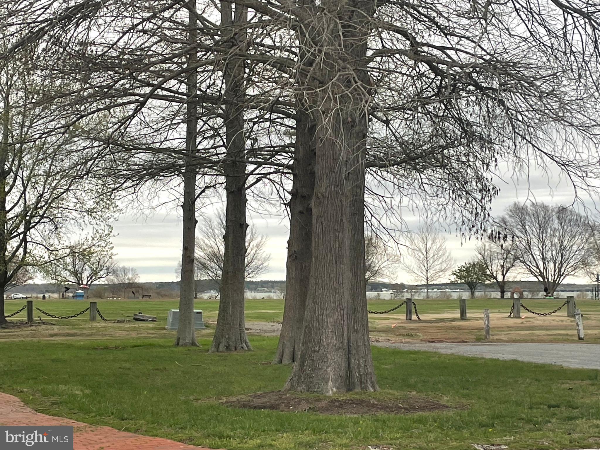 3 Talbot Avenue Cambridge, MD 21613 - Photo 2 of 17 a view of outdoor space with deck and trees