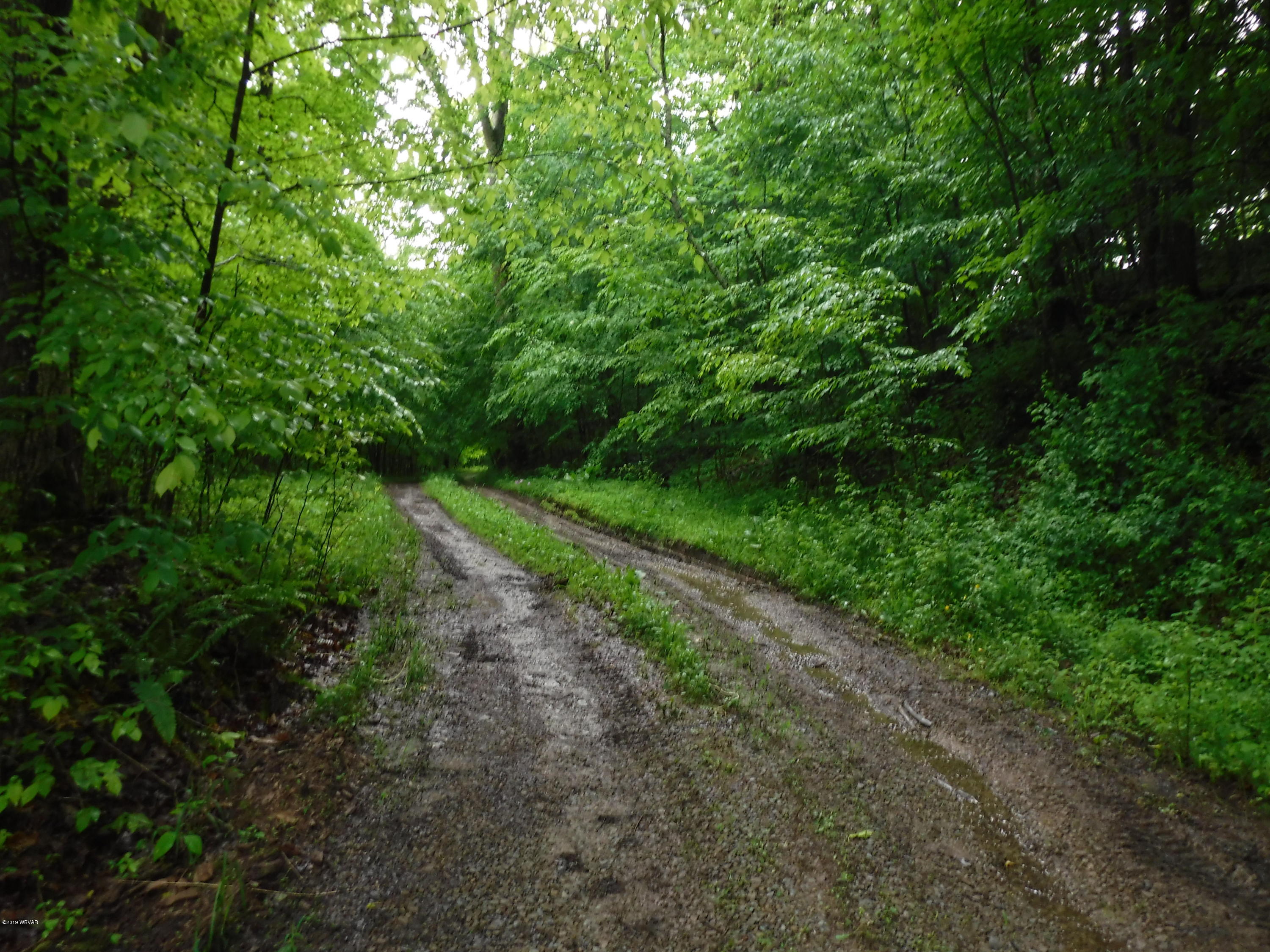 401 Norton Road Forksville, PA 18616 - Photo 17 of 53 DSCF8352