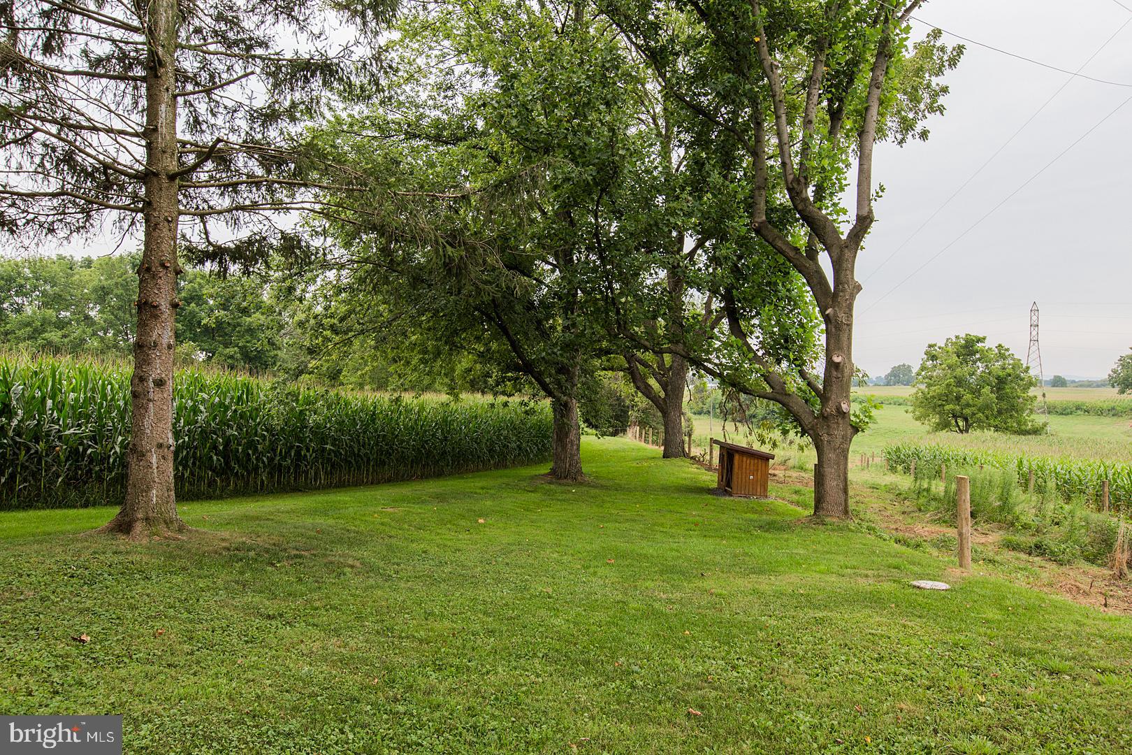 317 West Meadow Valley Road Lititz, PA 17543 - Photo 45 of 59 a view of a trees with a yard