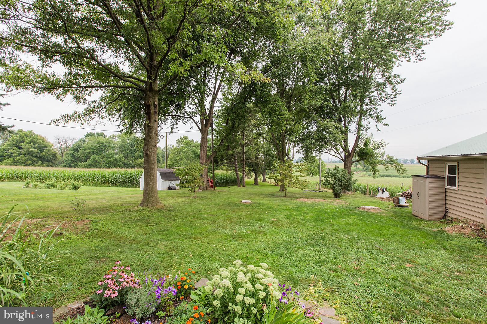 317 West Meadow Valley Road Lititz, PA 17543 - Photo 47 of 59 a view of a garden with a tree