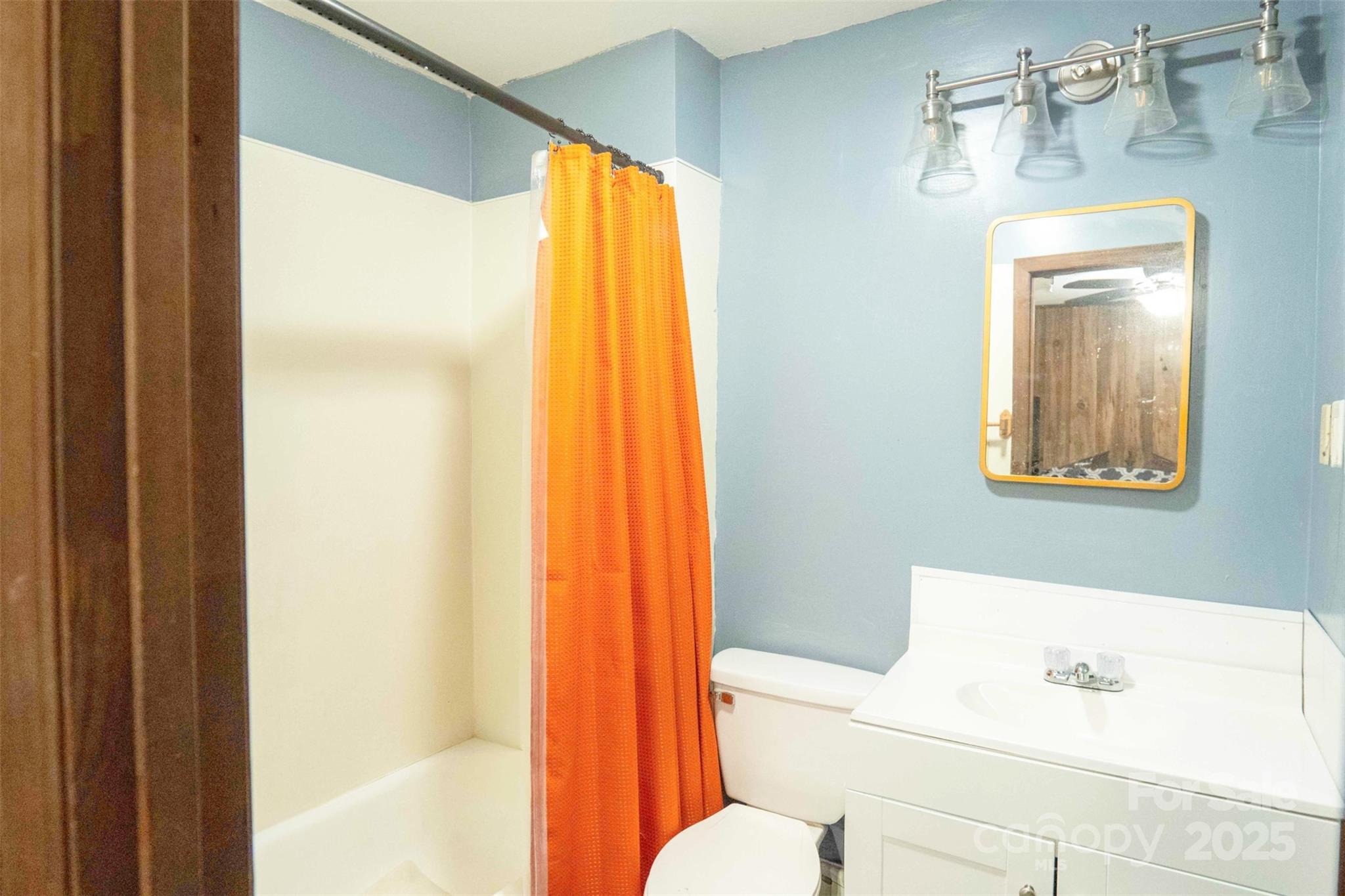 4420 Highway 64 Rutherfordton, NC 28139 - Photo 17 of 35 a bathroom with a sink and a mirror