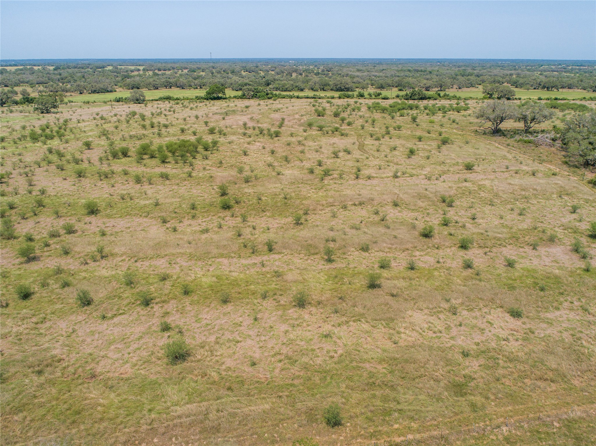 0 Green Dewitt Road Cuero, TX 77954 - Photo 7 of 40