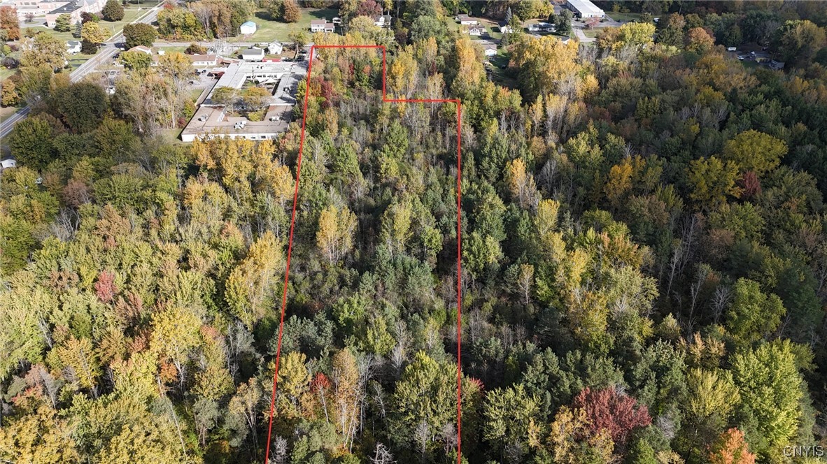 L1 Charlotteville Road Newfane, NY 14108 - Photo 2 of 7 Charlotteville Rd (boundaries shown are approximat