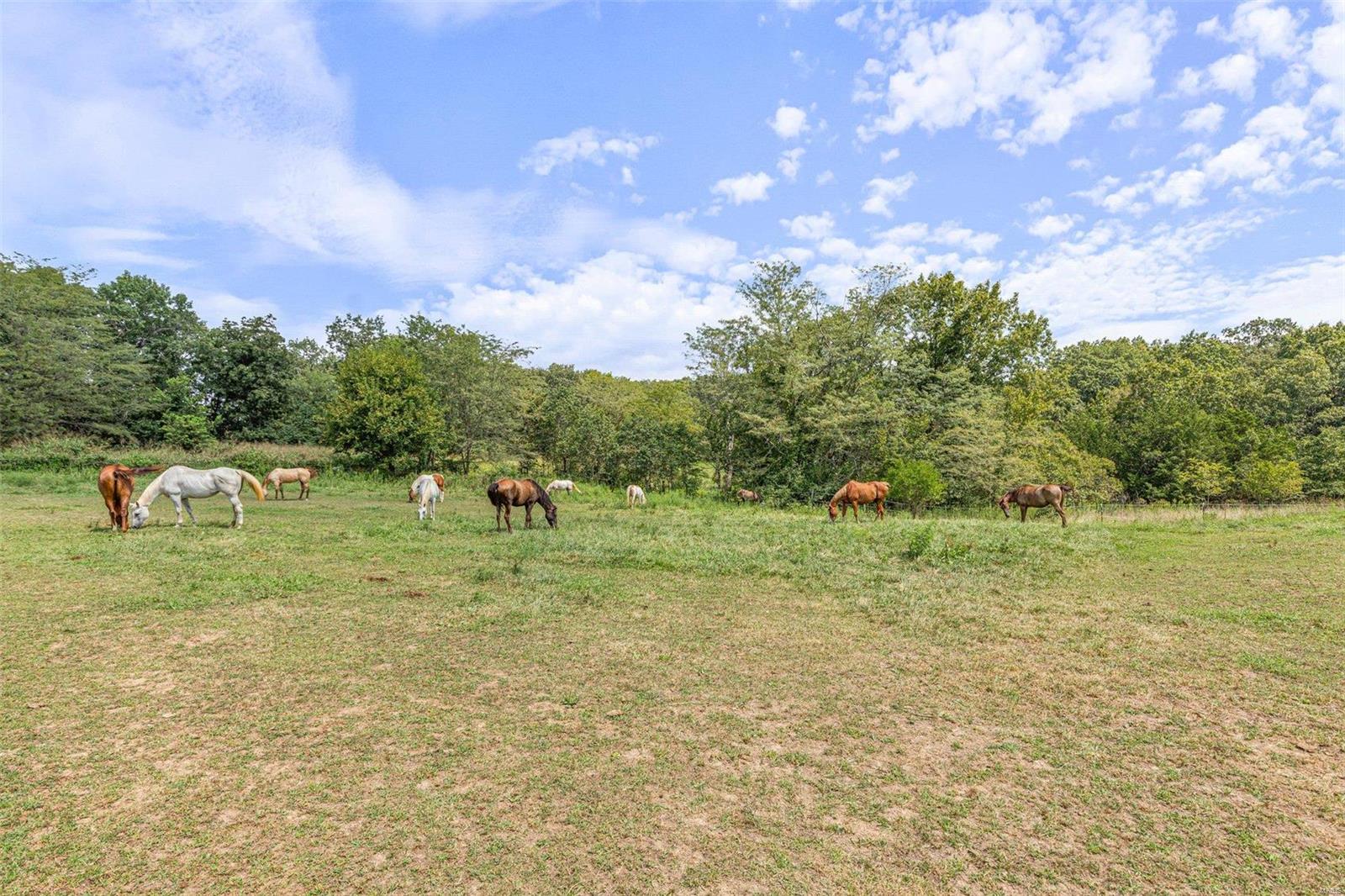 97 Hogs Head Drive Troy, MO 63379 - Photo 54 of 89