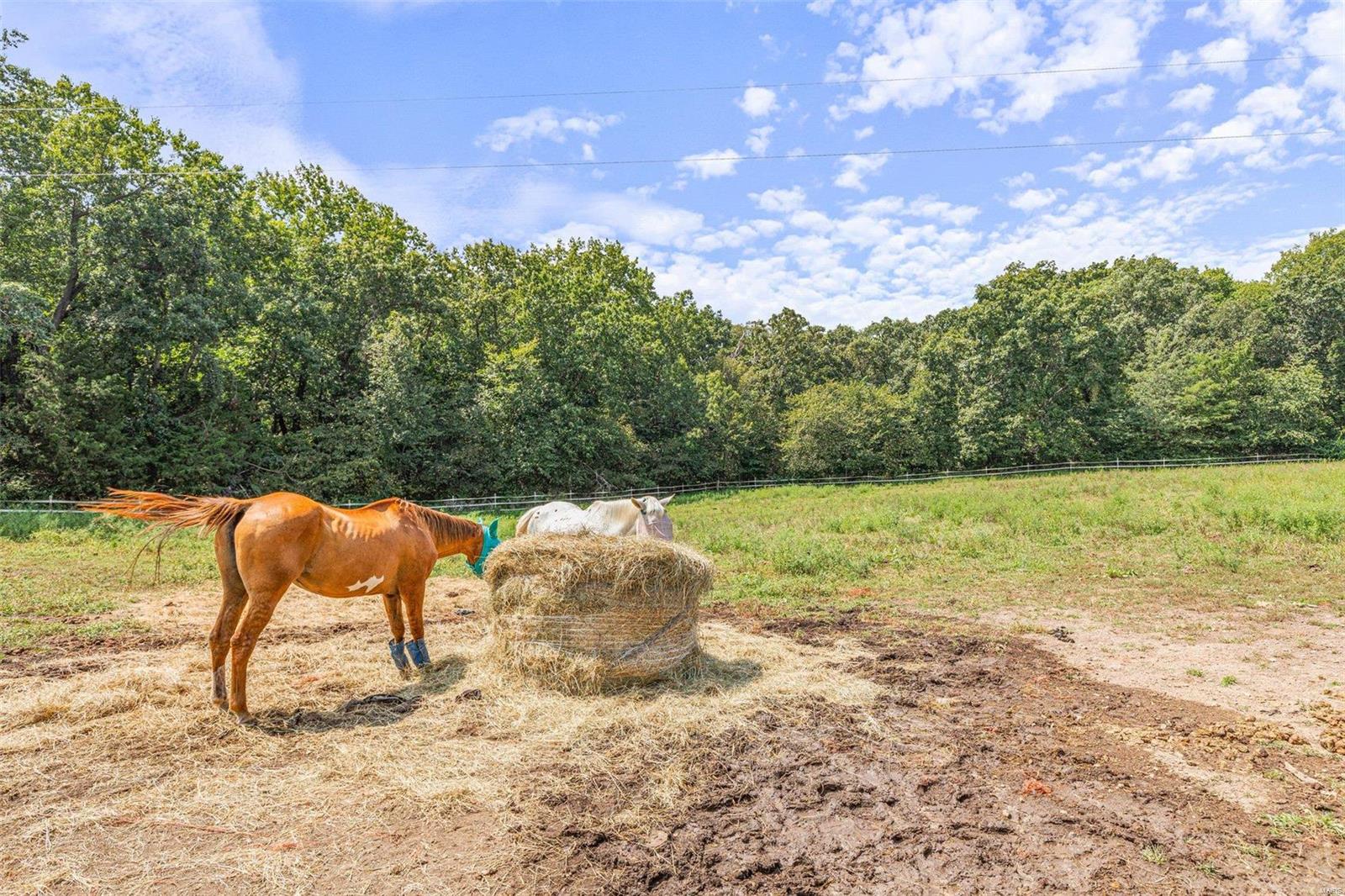 97 Hogs Head Drive Troy, MO 63379 - Photo 56 of 89