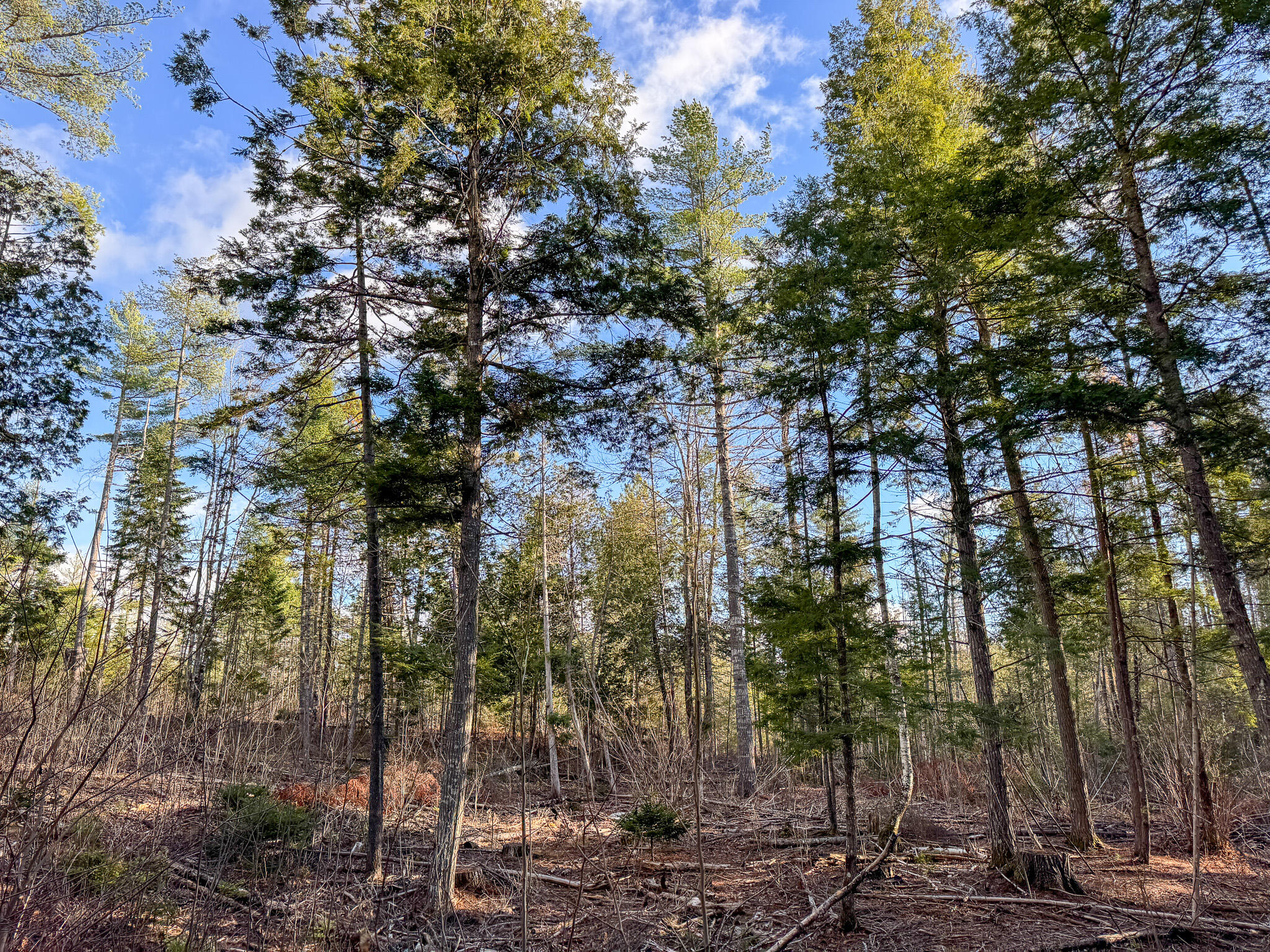 M3-l42 Caribou Road Passadumkeag, ME 04475 - Photo 3 of 9 3