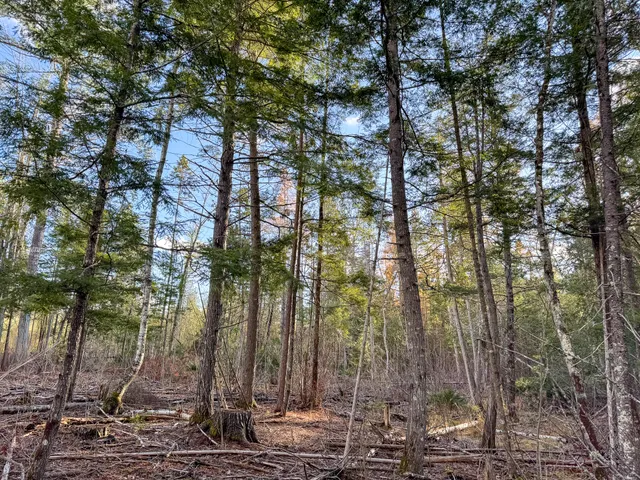$39,900 | M3-l42 Caribou Road, Passadumkeag, ME 04475