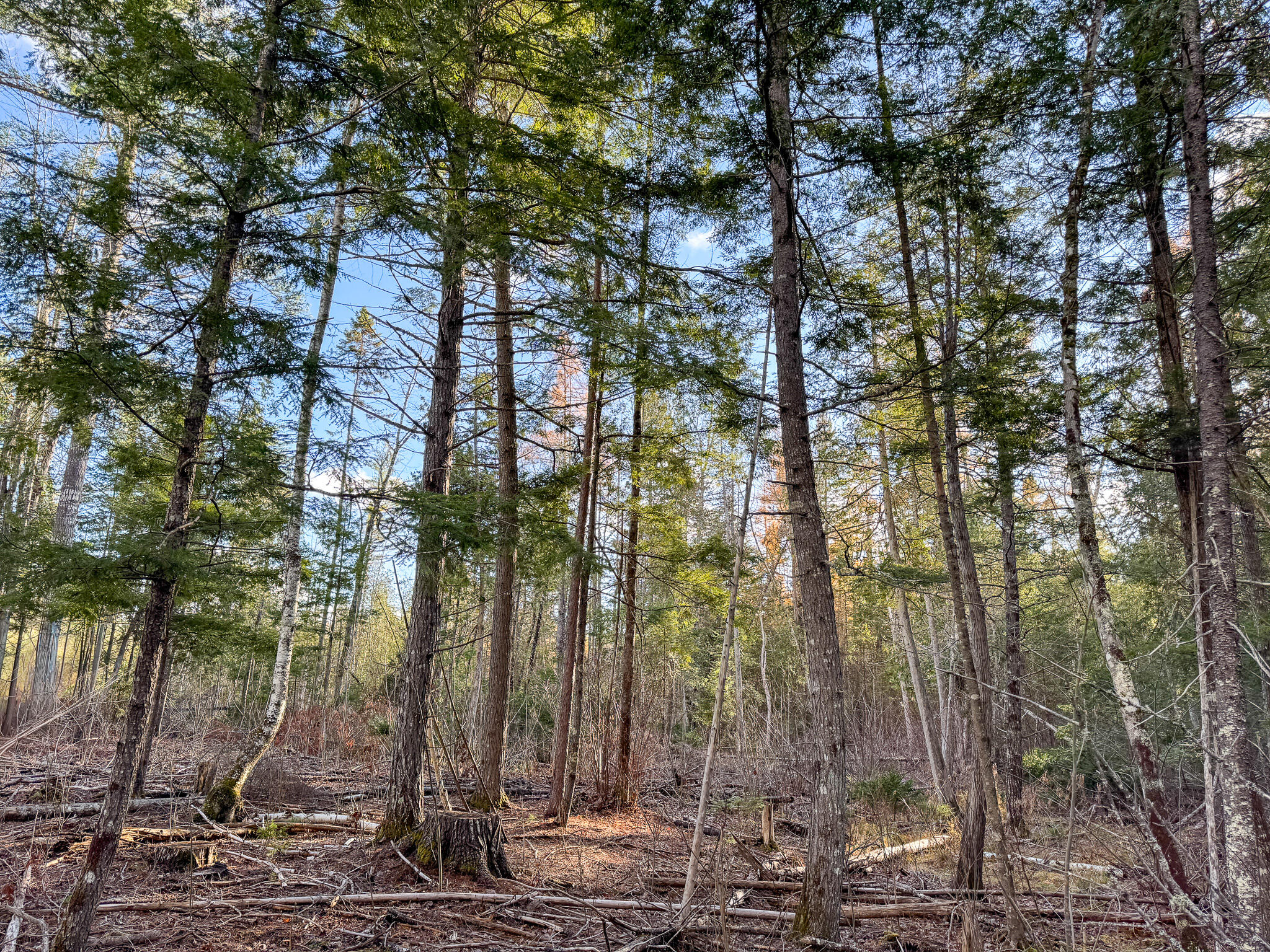 M3-l42 Caribou Road Passadumkeag, ME 04475 - Photo 4 of 9 4