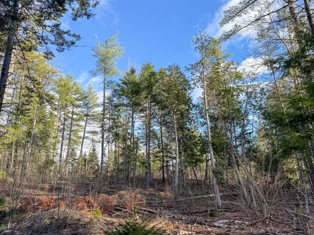 $39,900 | M3-l42 Caribou Road, Passadumkeag, ME 04475