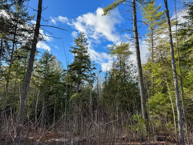 $39,900 | M3-l42 Caribou Road, Passadumkeag, ME 04475