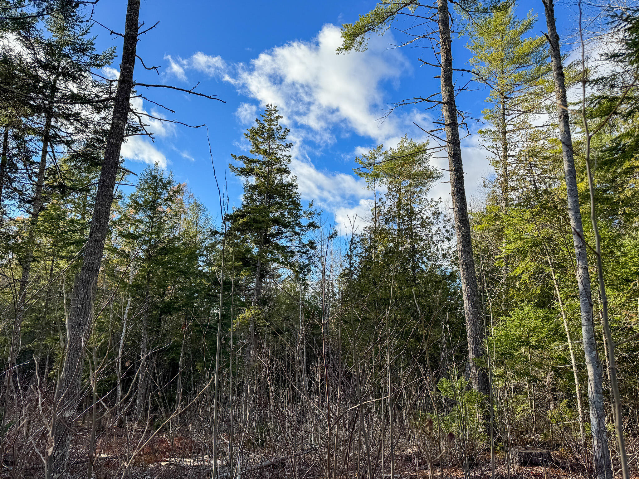 M3-l42 Caribou Road Passadumkeag, ME 04475 - Photo 6 of 9 6