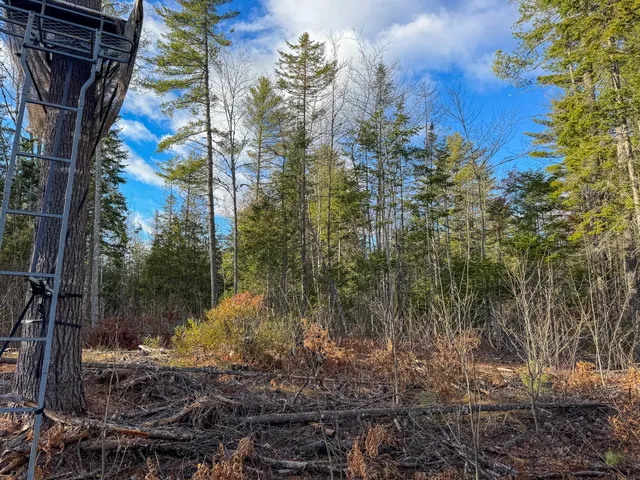 $39,900 | M3-l42 Caribou Road, Passadumkeag, ME 04475