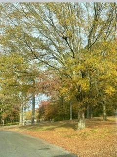 146 Dellinger Rd Northeast  