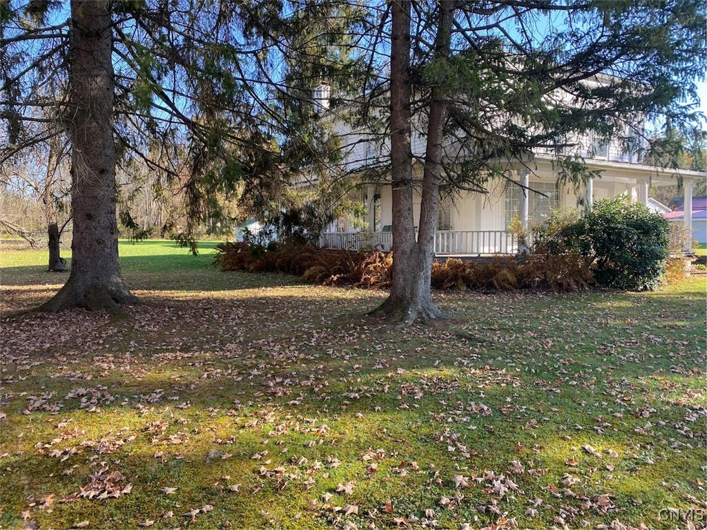 82 Olean Street Angelica, NY 14709 - Photo 32 of 35