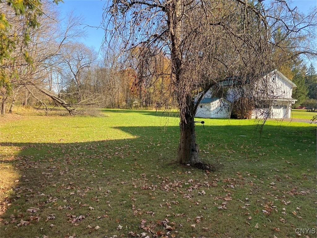 82 Olean Street Angelica, NY 14709 - Photo 33 of 35