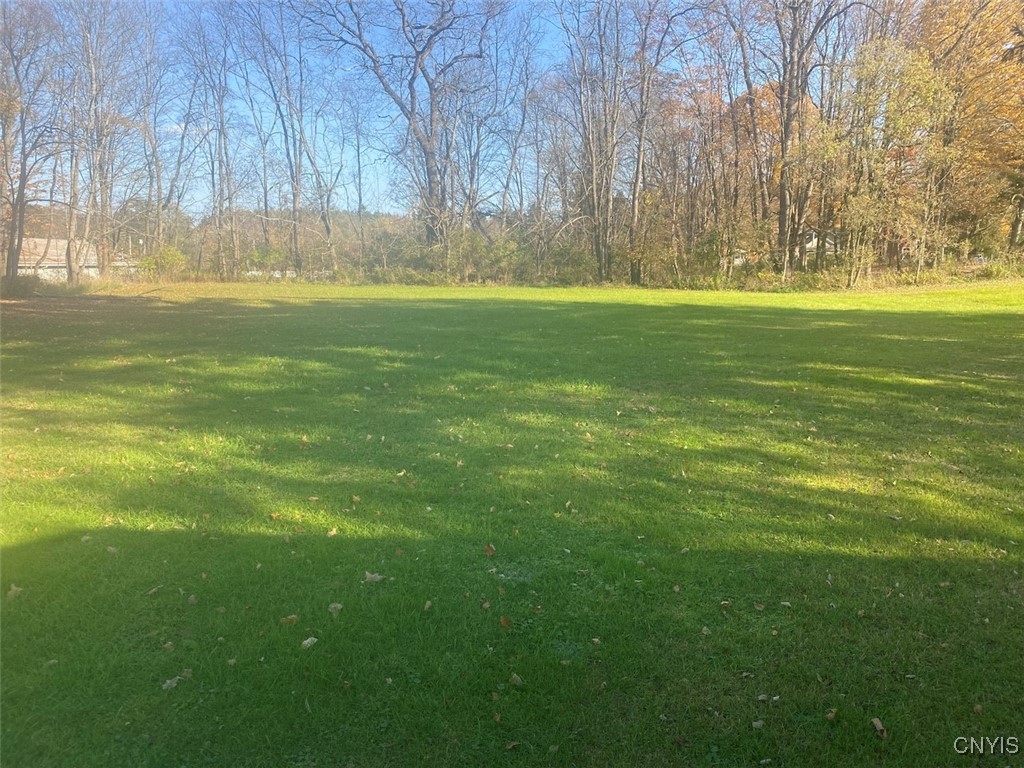 82 Olean Street Angelica, NY 14709 - Photo 34 of 35