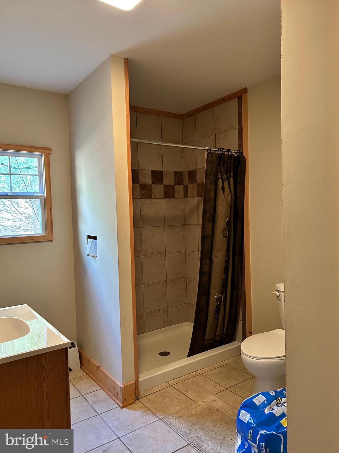 385 Elk Creek Road Aaronsburg, PA 16820 - Photo 43 of 89 a bathroom with a shower and a toilet