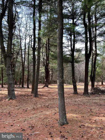 $749,000 | 385 Elk Creek Road, Aaronsburg, PA 16820