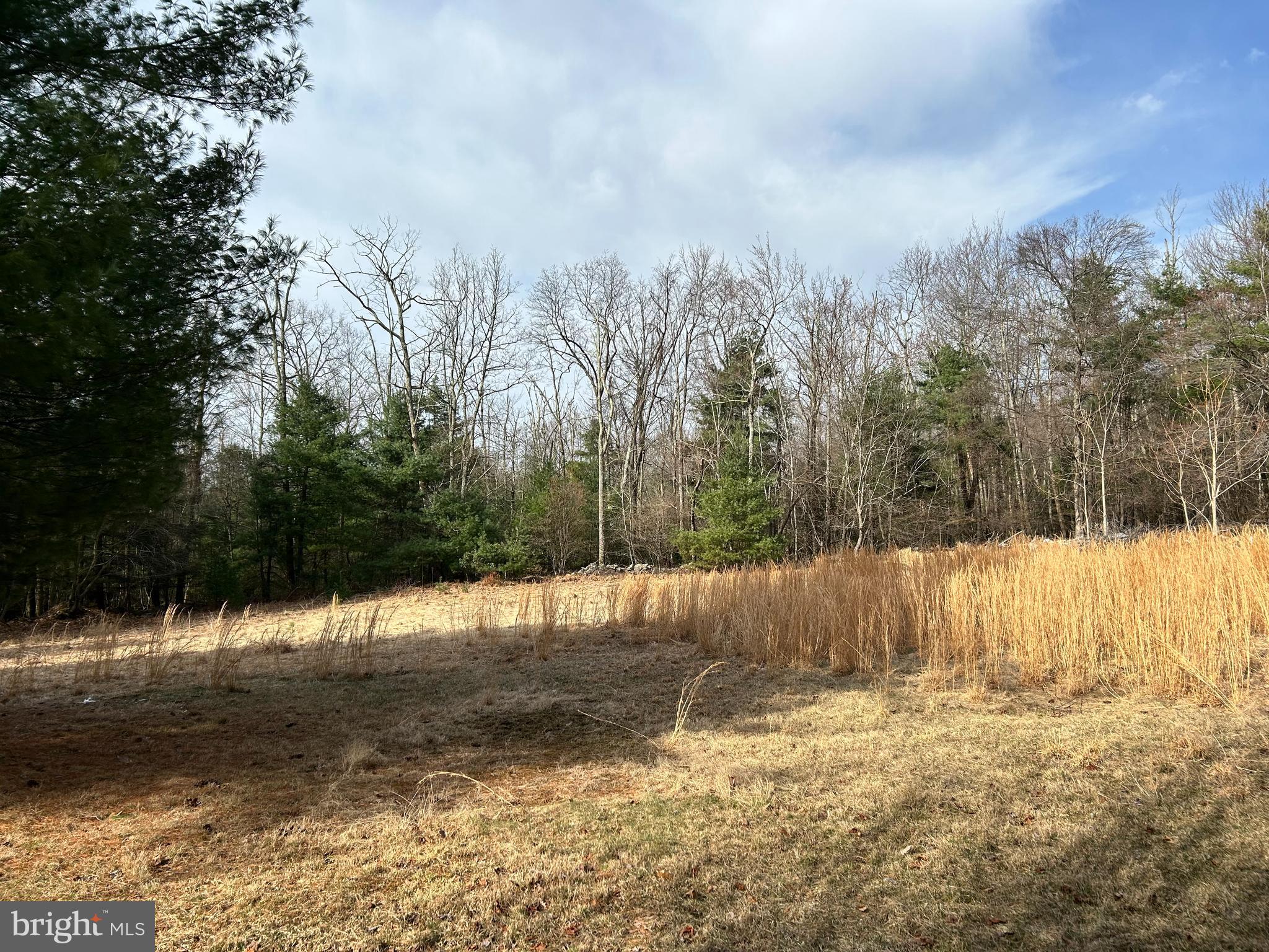 385 Elk Creek Road Aaronsburg, PA 16820 - Photo 48 of 89