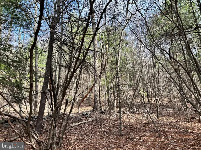 $749,000 | 385 Elk Creek Road, Aaronsburg, PA 16820