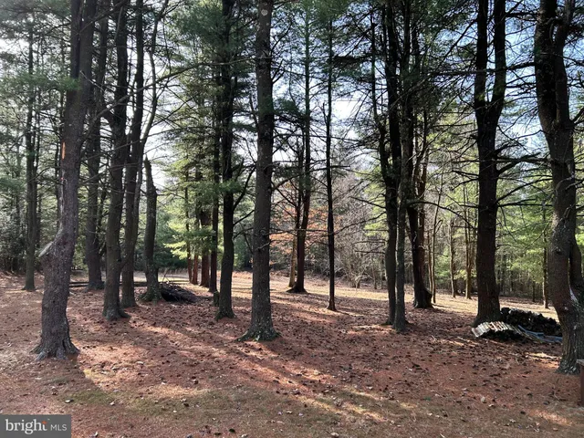 $749,000 | 385 Elk Creek Road, Aaronsburg, PA 16820