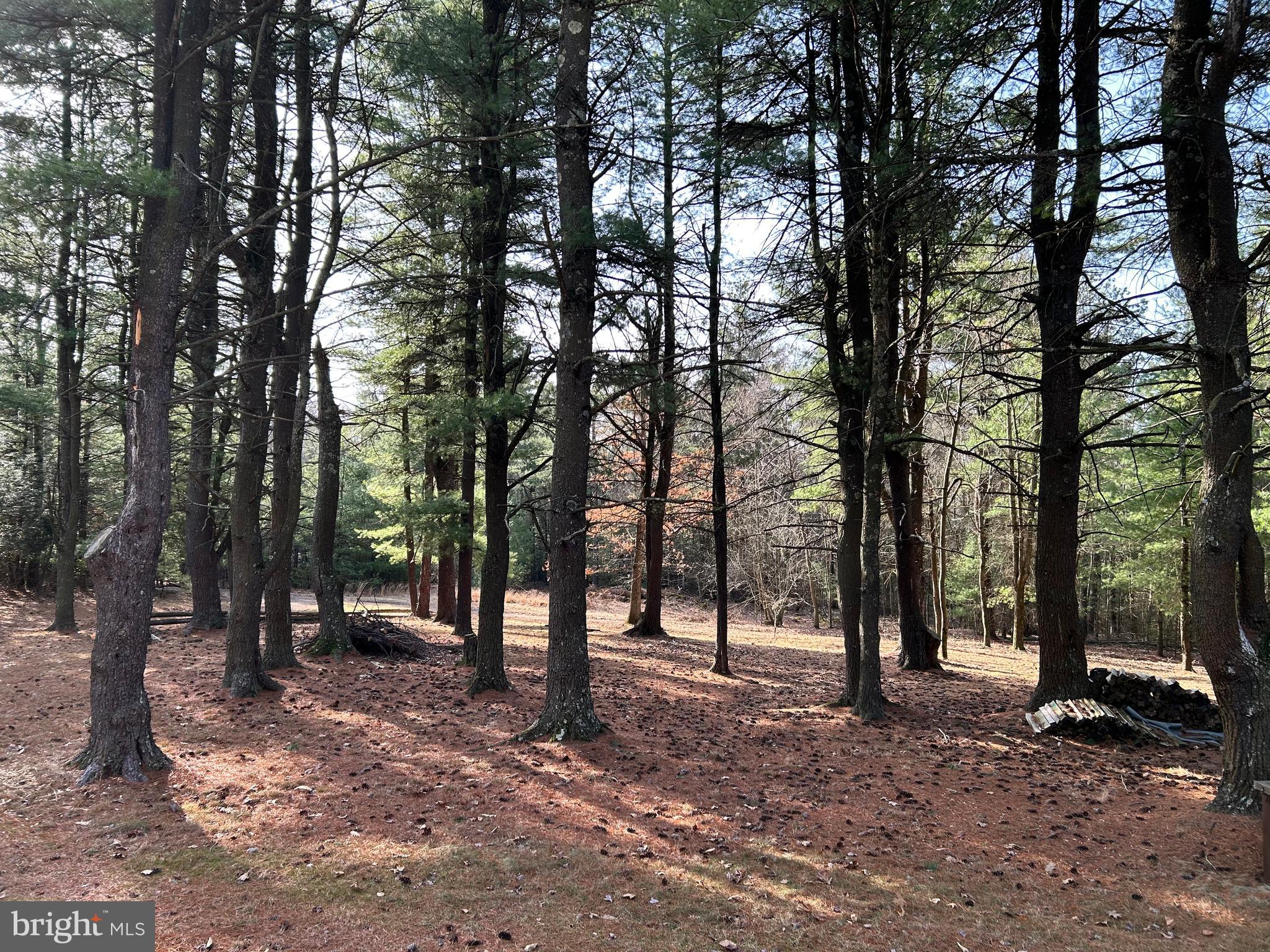 385 Elk Creek Road Aaronsburg, PA 16820 - Photo 50 of 89 a view of outdoor space with sink