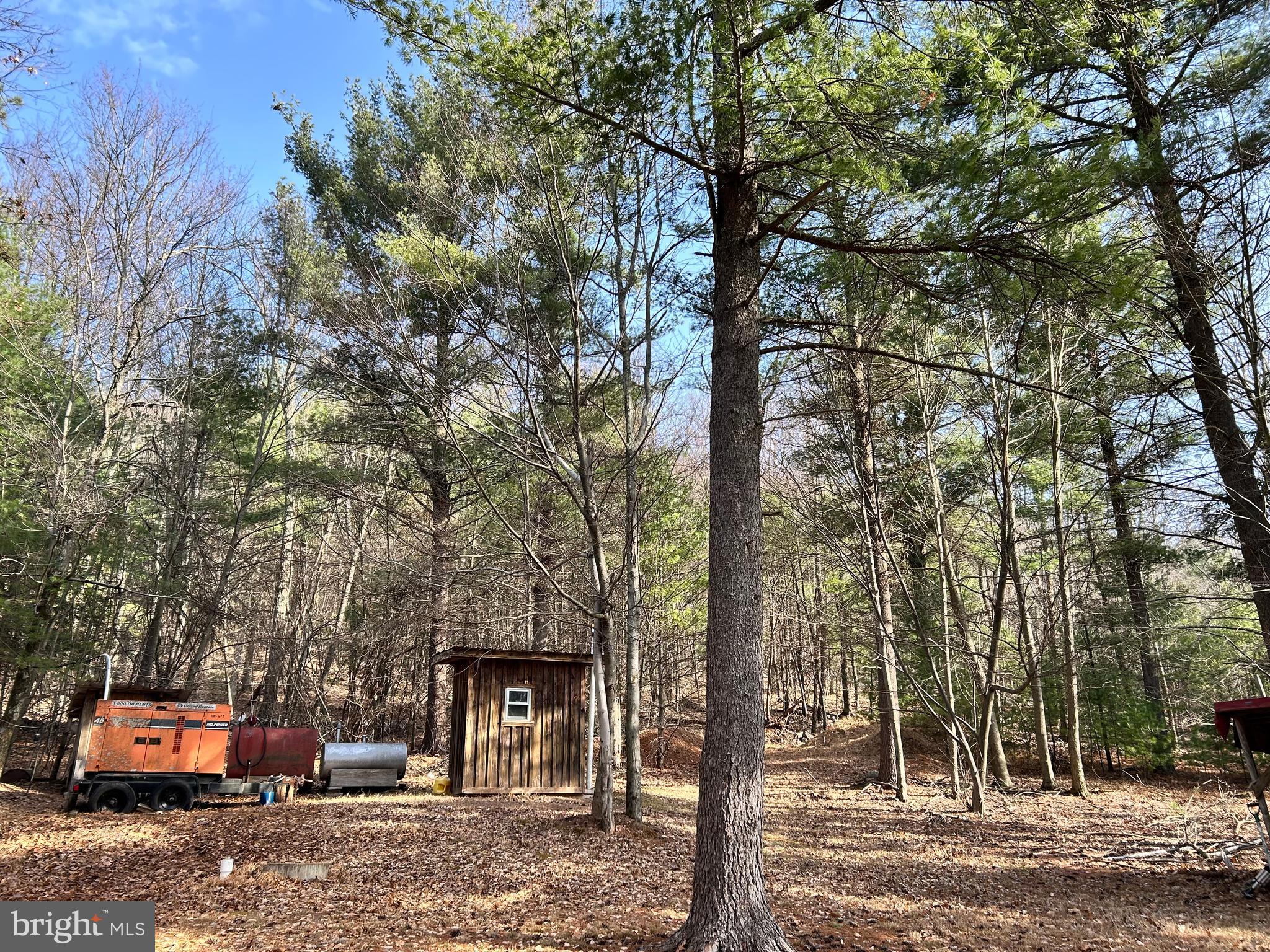 385 Elk Creek Road Aaronsburg, PA 16820 - Photo 51 of 89 a front view of a house with trees