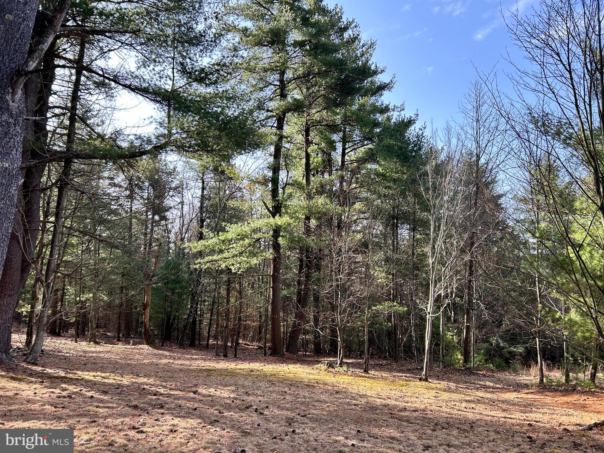 385 Elk Creek Road Aaronsburg, PA 16820 - Photo 52 of 89