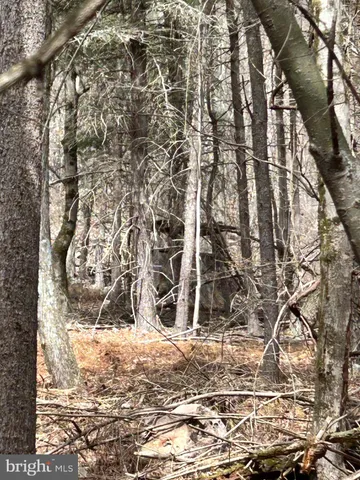 $749,000 | 385 Elk Creek Road, Aaronsburg, PA 16820