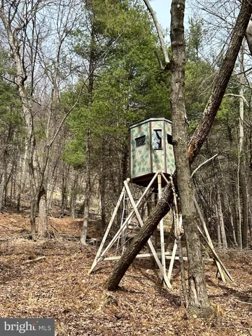 $749,000 | 385 Elk Creek Road, Aaronsburg, PA 16820