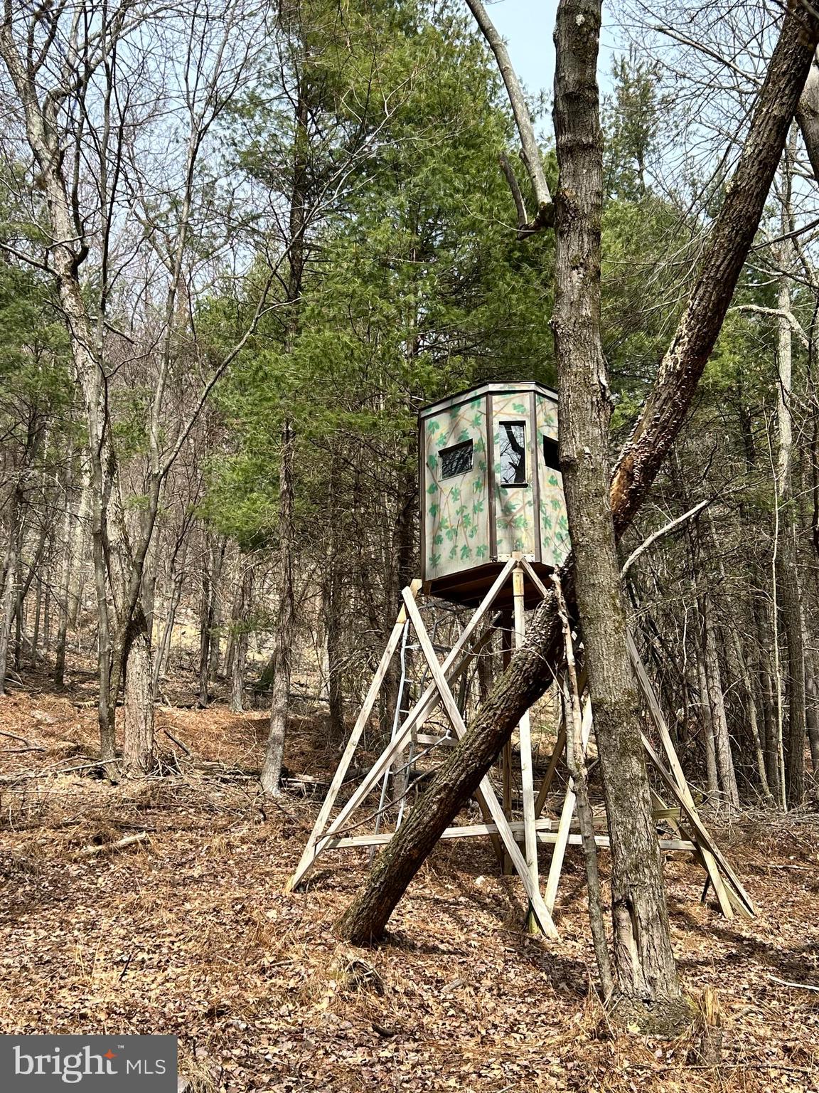 385 Elk Creek Road Aaronsburg, PA 16820 - Photo 56 of 89