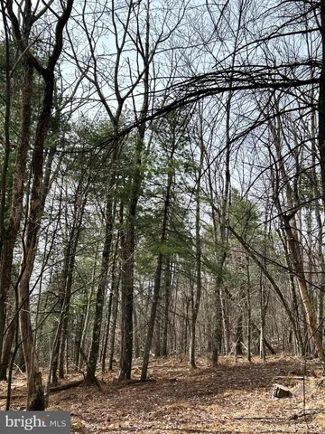 $749,000 | 385 Elk Creek Road, Aaronsburg, PA 16820