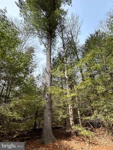 $749,000 | 385 Elk Creek Road, Aaronsburg, PA 16820