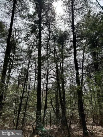 $749,000 | 385 Elk Creek Road, Aaronsburg, PA 16820