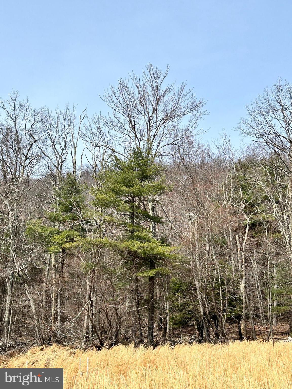 385 Elk Creek Road Aaronsburg, PA 16820 - Photo 60 of 89