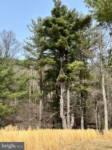 $749,000 | 385 Elk Creek Road, Aaronsburg, PA 16820