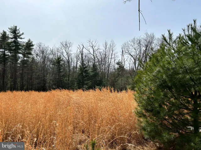 $749,000 | 385 Elk Creek Road, Aaronsburg, PA 16820