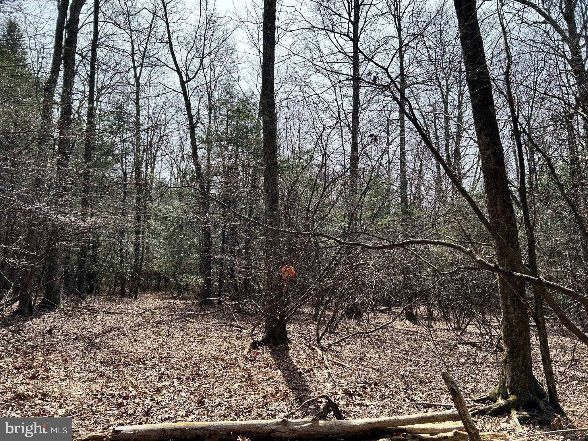 385 Elk Creek Road Aaronsburg, PA 16820 - Photo 64 of 89 a backyard of a house with lots of green space