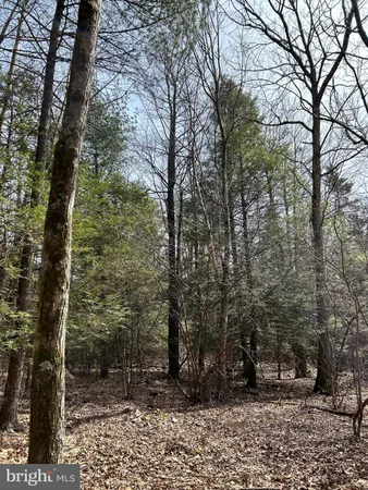 $719,000 | 385 Elk Creek Road, Aaronsburg, PA 16820