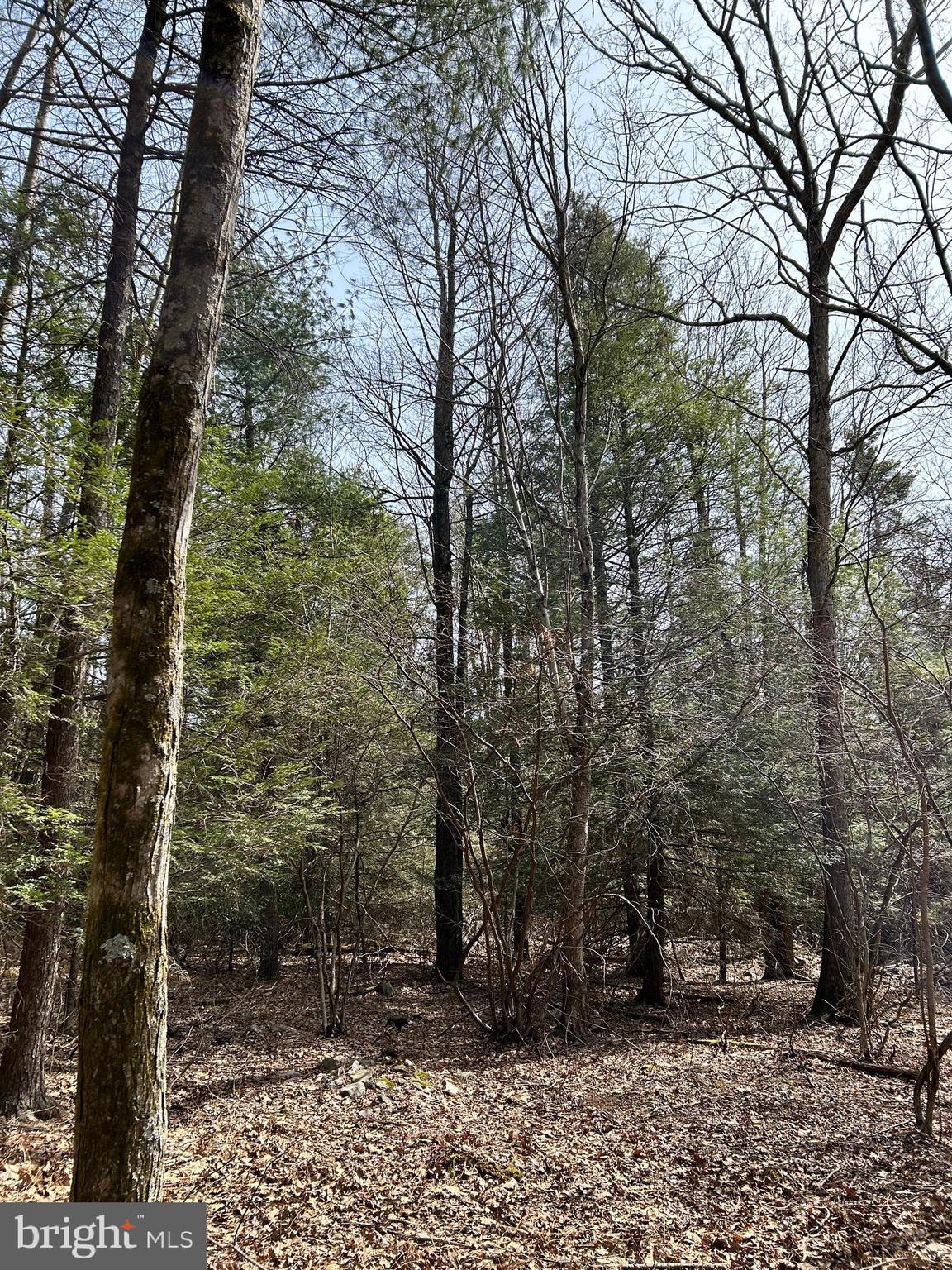 385 Elk Creek Road Aaronsburg, PA 16820 - Photo 65 of 89