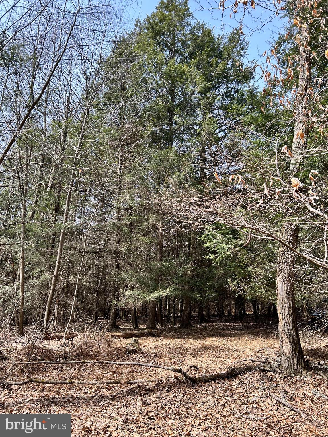 385 Elk Creek Road Aaronsburg, PA 16820 - Photo 66 of 89