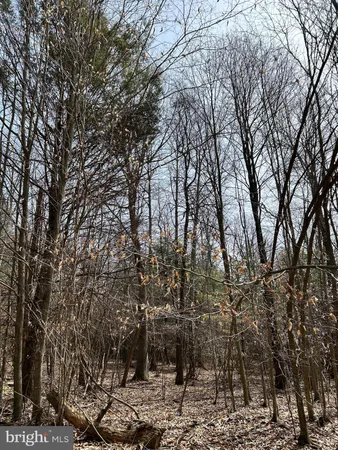 $719,000 | 385 Elk Creek Road, Aaronsburg, PA 16820