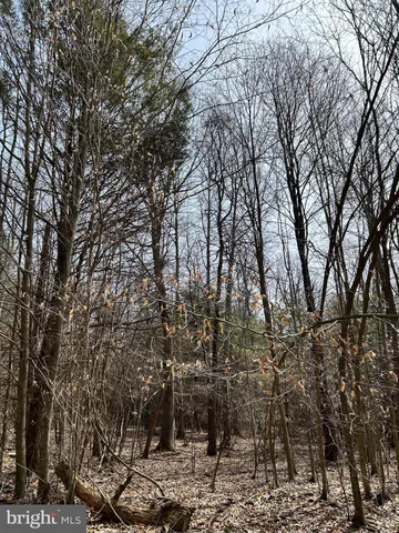 $749,000 | 385 Elk Creek Road, Aaronsburg, PA 16820