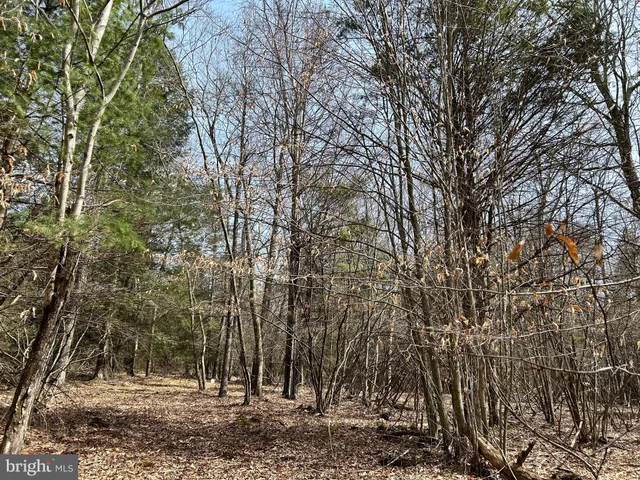 $749,000 | 385 Elk Creek Road, Aaronsburg, PA 16820