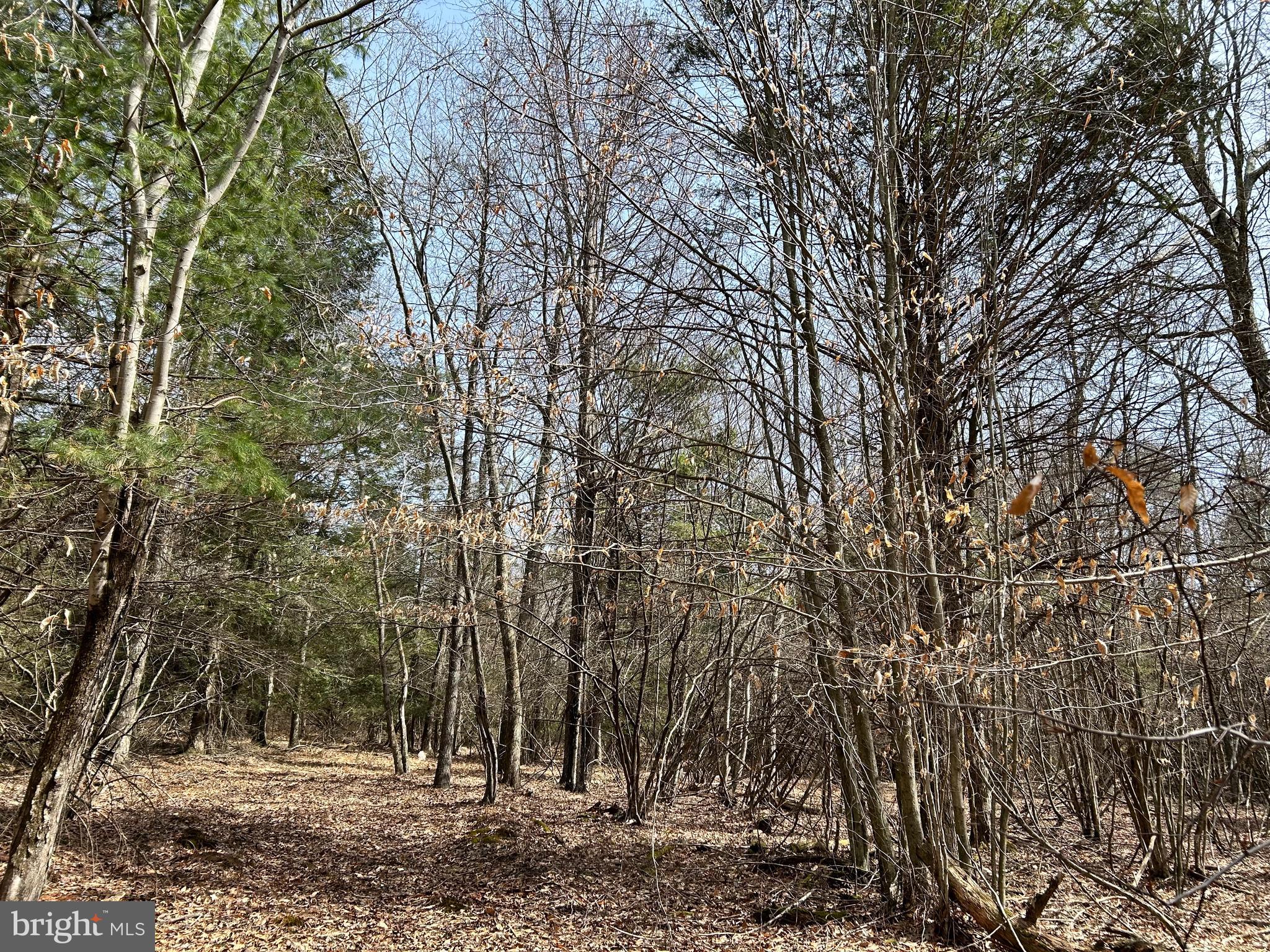 385 Elk Creek Road Aaronsburg, PA 16820 - Photo 68 of 89