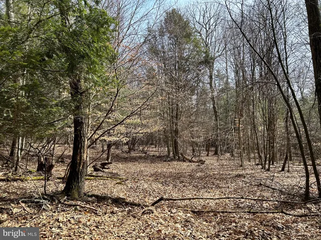 $749,000 | 385 Elk Creek Road, Aaronsburg, PA 16820