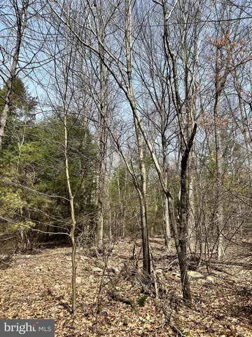 $749,000 | 385 Elk Creek Road, Aaronsburg, PA 16820