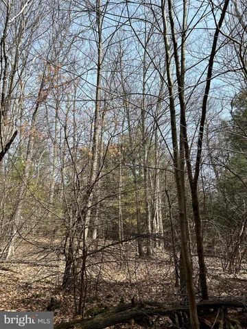 $749,000 | 385 Elk Creek Road, Aaronsburg, PA 16820