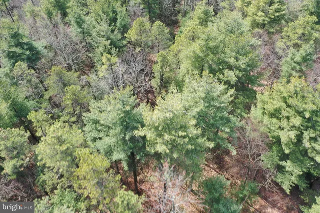 $749,000 | 385 Elk Creek Road, Aaronsburg, PA 16820