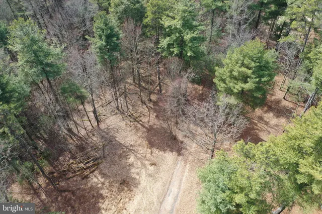 $749,000 | 385 Elk Creek Road, Aaronsburg, PA 16820